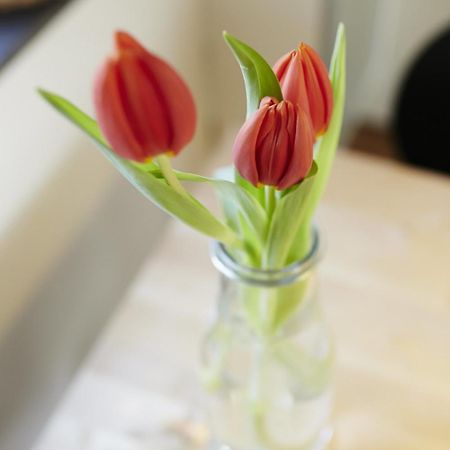 Willa Rotes Bienenhaus Kottenheim Zewnętrze zdjęcie
